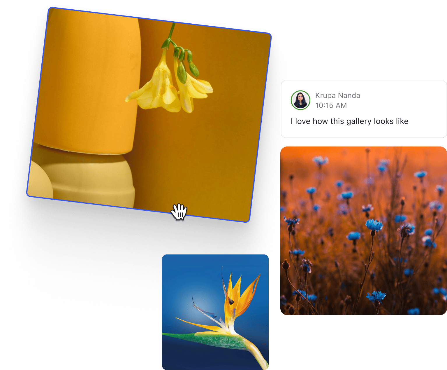 Collage of images, one being lifted off the page with a hand cursor. A commenter notes, "I love how this gallery looks like".